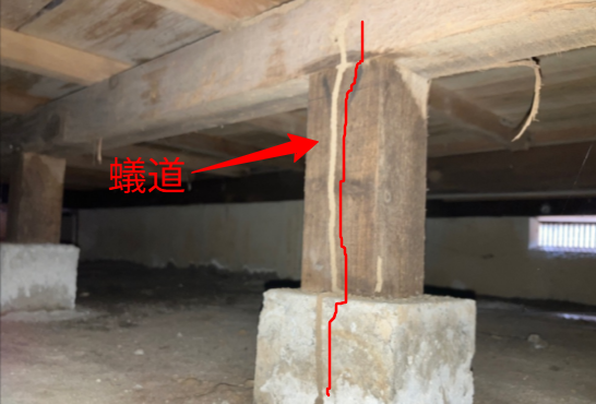 インスペクションー室内調査編